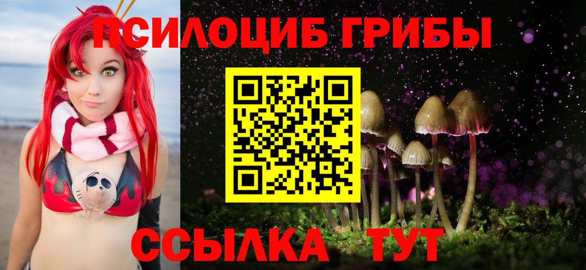 Псилоцибиновые грибы Cubensis Камышлов
