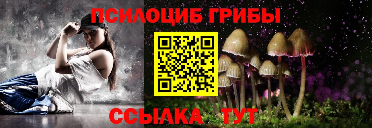 Камышлов  Псилоцибиновые грибы мицелий  Вход с VPN 